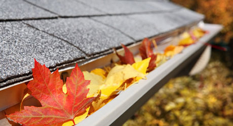 5 Big Damages Caused By The Clogged Eavestrough
